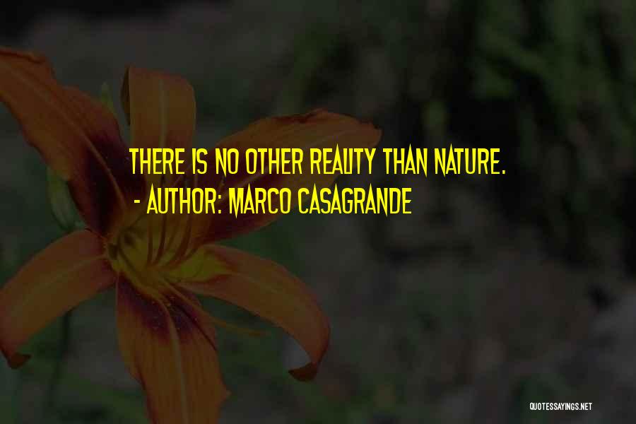 Marco Casagrande Quotes: There Is No Other Reality Than Nature.