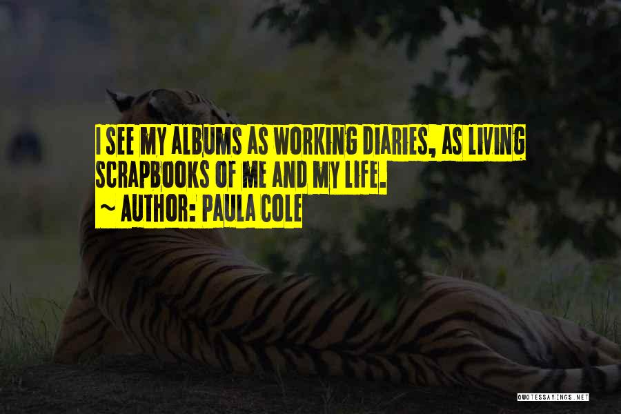 Paula Cole Quotes: I See My Albums As Working Diaries, As Living Scrapbooks Of Me And My Life.