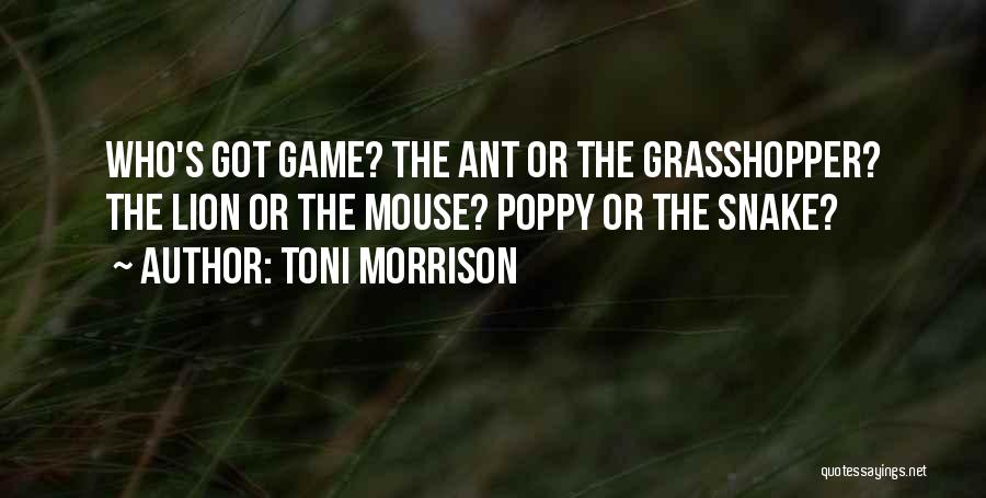 Toni Morrison Quotes: Who's Got Game? The Ant Or The Grasshopper? The Lion Or The Mouse? Poppy Or The Snake?