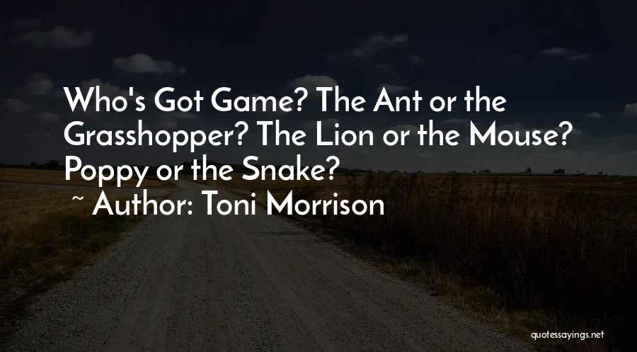 Toni Morrison Quotes: Who's Got Game? The Ant Or The Grasshopper? The Lion Or The Mouse? Poppy Or The Snake?