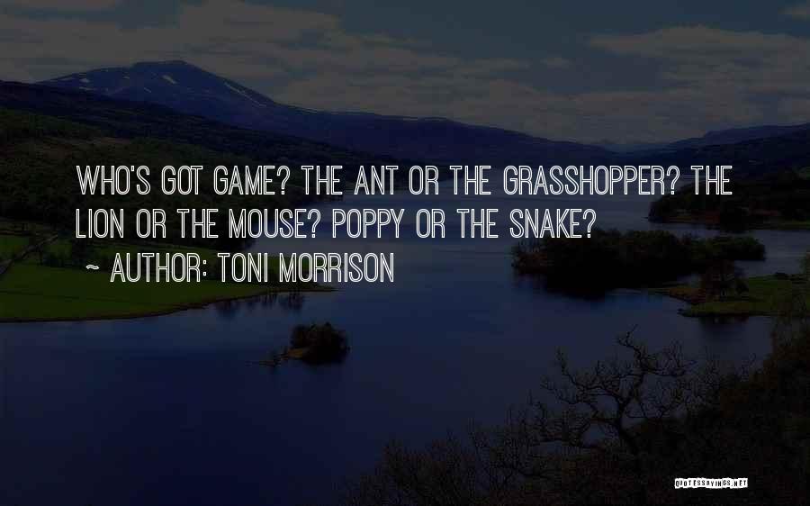 Toni Morrison Quotes: Who's Got Game? The Ant Or The Grasshopper? The Lion Or The Mouse? Poppy Or The Snake?