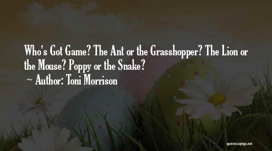 Toni Morrison Quotes: Who's Got Game? The Ant Or The Grasshopper? The Lion Or The Mouse? Poppy Or The Snake?