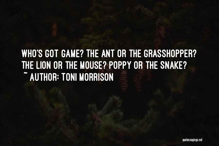 Toni Morrison Quotes: Who's Got Game? The Ant Or The Grasshopper? The Lion Or The Mouse? Poppy Or The Snake?