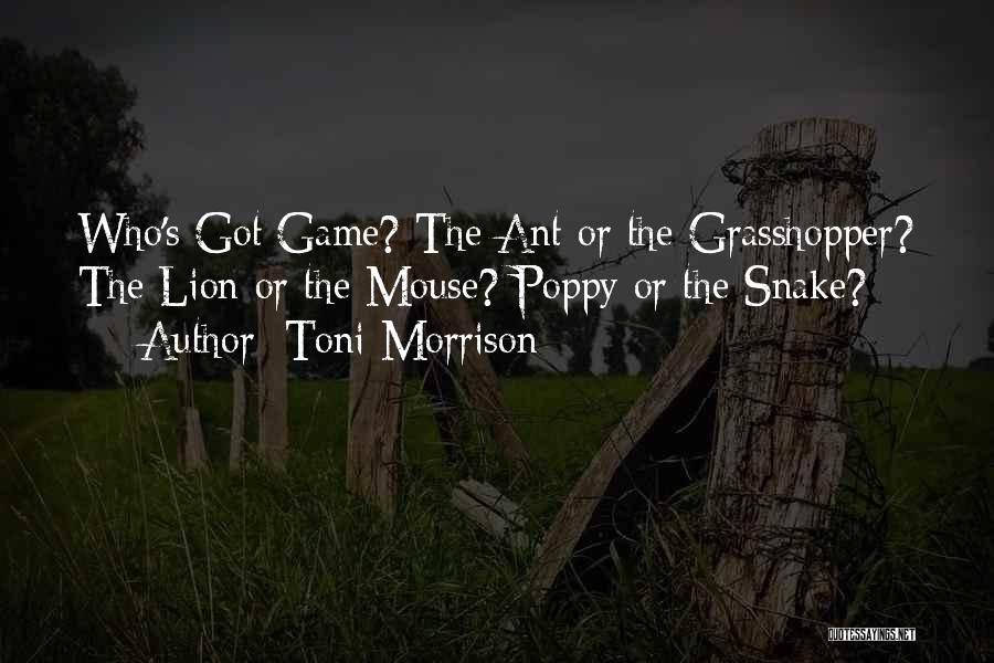 Toni Morrison Quotes: Who's Got Game? The Ant Or The Grasshopper? The Lion Or The Mouse? Poppy Or The Snake?