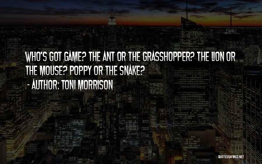 Toni Morrison Quotes: Who's Got Game? The Ant Or The Grasshopper? The Lion Or The Mouse? Poppy Or The Snake?