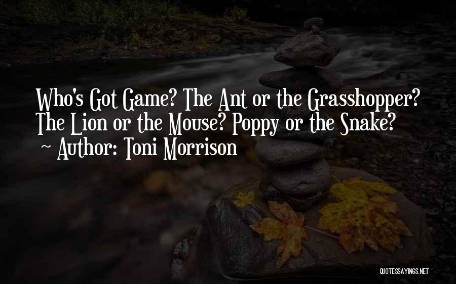 Toni Morrison Quotes: Who's Got Game? The Ant Or The Grasshopper? The Lion Or The Mouse? Poppy Or The Snake?