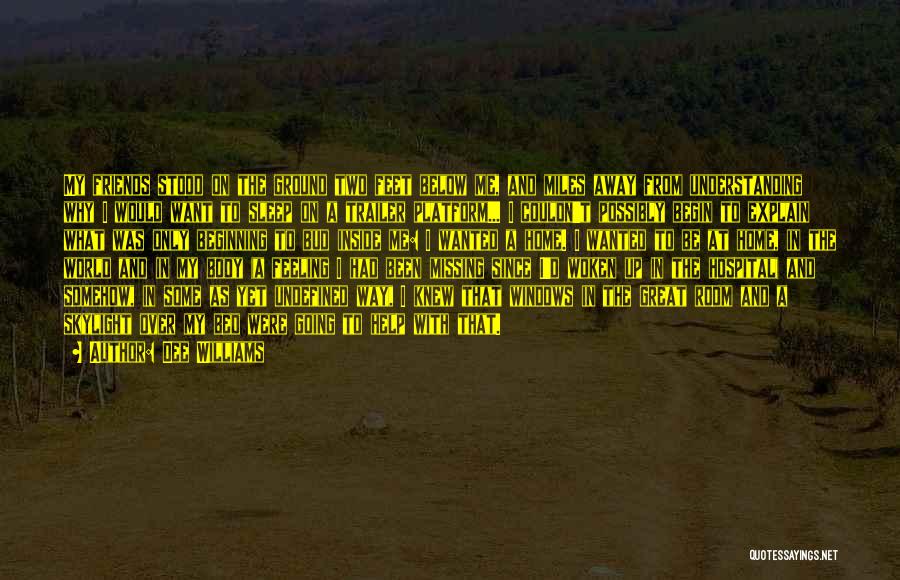 Dee Williams Quotes: My Friends Stood On The Ground Two Feet Below Me, And Miles Away From Understanding Why I Would Want To