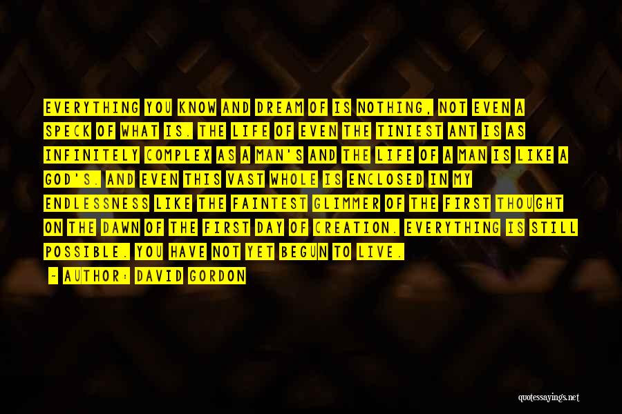 David Gordon Quotes: Everything You Know And Dream Of Is Nothing, Not Even A Speck Of What Is. The Life Of Even The
