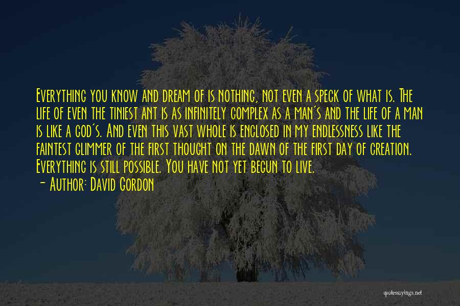 David Gordon Quotes: Everything You Know And Dream Of Is Nothing, Not Even A Speck Of What Is. The Life Of Even The