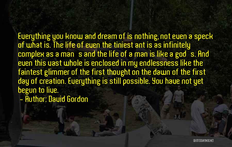 David Gordon Quotes: Everything You Know And Dream Of Is Nothing, Not Even A Speck Of What Is. The Life Of Even The