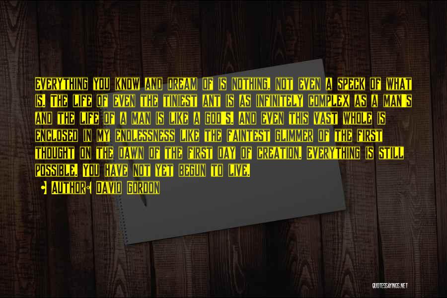 David Gordon Quotes: Everything You Know And Dream Of Is Nothing, Not Even A Speck Of What Is. The Life Of Even The