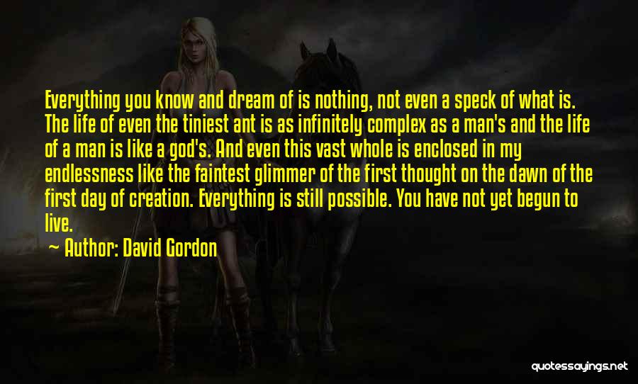David Gordon Quotes: Everything You Know And Dream Of Is Nothing, Not Even A Speck Of What Is. The Life Of Even The