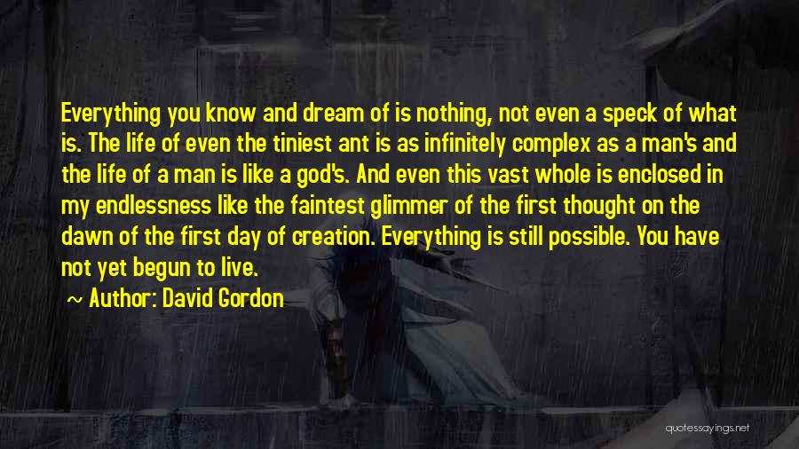 David Gordon Quotes: Everything You Know And Dream Of Is Nothing, Not Even A Speck Of What Is. The Life Of Even The