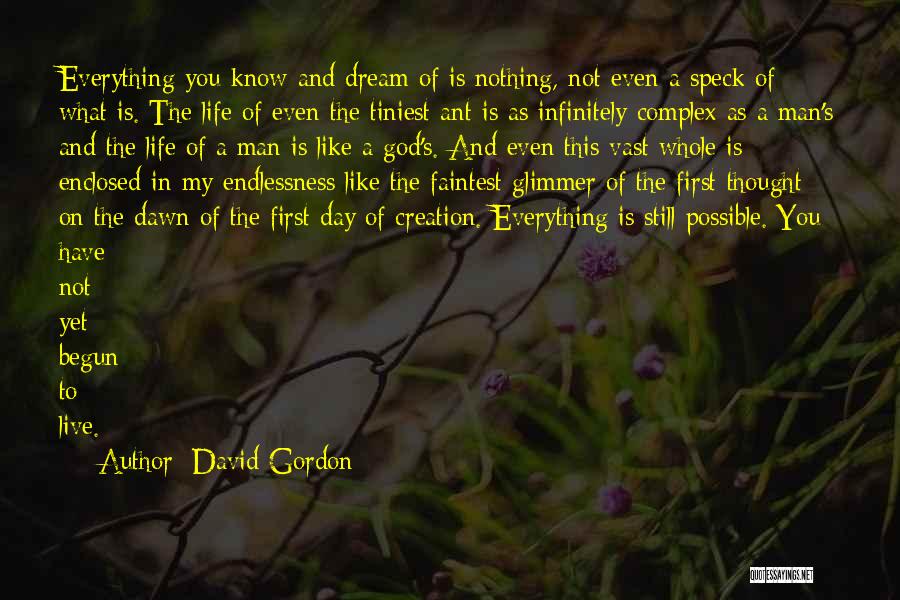 David Gordon Quotes: Everything You Know And Dream Of Is Nothing, Not Even A Speck Of What Is. The Life Of Even The