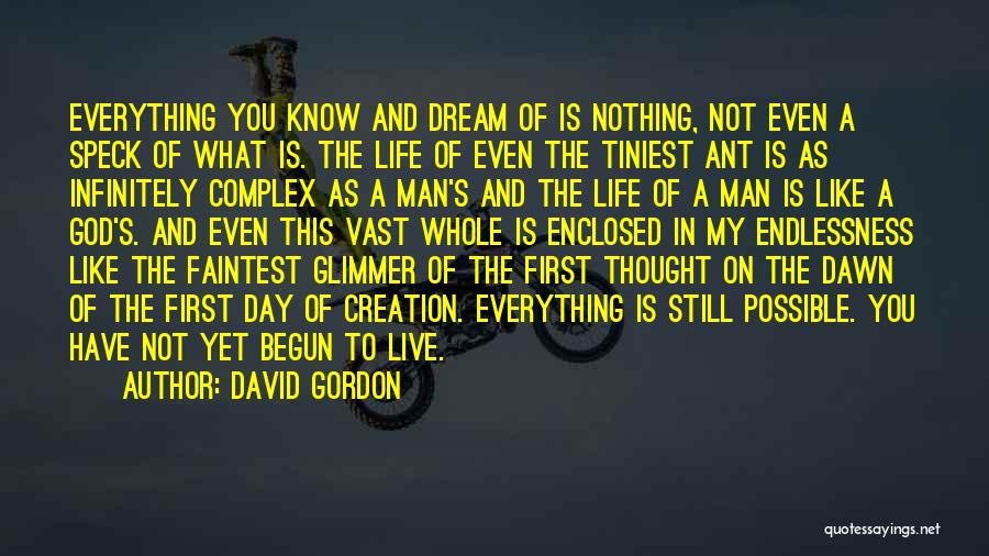 David Gordon Quotes: Everything You Know And Dream Of Is Nothing, Not Even A Speck Of What Is. The Life Of Even The