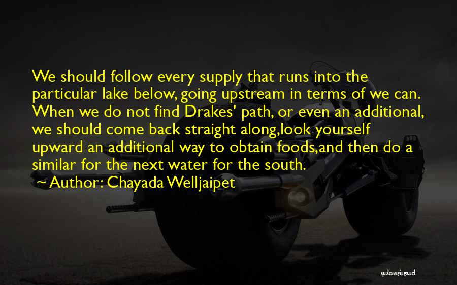 Chayada Welljaipet Quotes: We Should Follow Every Supply That Runs Into The Particular Lake Below, Going Upstream In Terms Of We Can. When