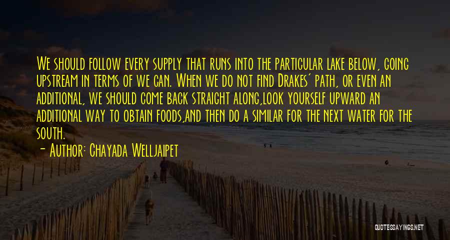 Chayada Welljaipet Quotes: We Should Follow Every Supply That Runs Into The Particular Lake Below, Going Upstream In Terms Of We Can. When