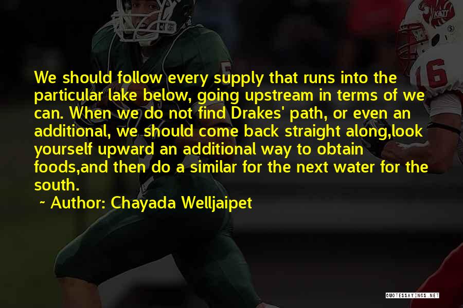 Chayada Welljaipet Quotes: We Should Follow Every Supply That Runs Into The Particular Lake Below, Going Upstream In Terms Of We Can. When