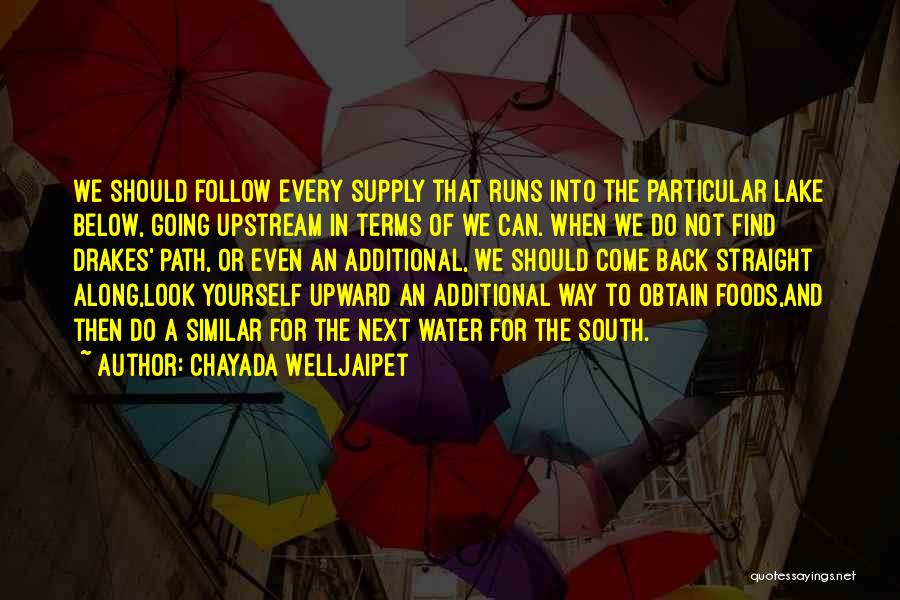 Chayada Welljaipet Quotes: We Should Follow Every Supply That Runs Into The Particular Lake Below, Going Upstream In Terms Of We Can. When