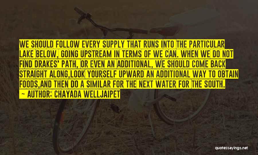 Chayada Welljaipet Quotes: We Should Follow Every Supply That Runs Into The Particular Lake Below, Going Upstream In Terms Of We Can. When