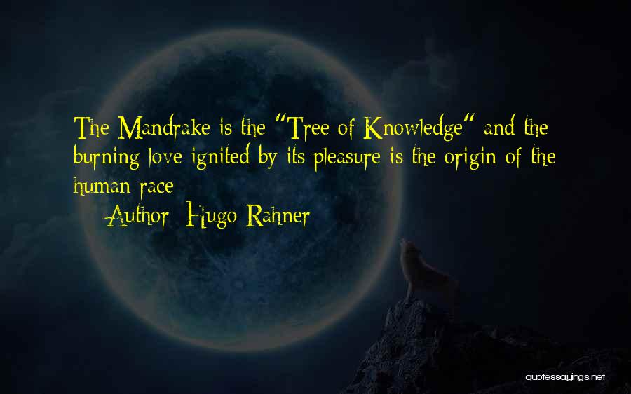 Hugo Rahner Quotes: The Mandrake Is The Tree Of Knowledge And The Burning Love Ignited By Its Pleasure Is The Origin Of The