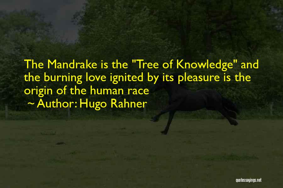 Hugo Rahner Quotes: The Mandrake Is The Tree Of Knowledge And The Burning Love Ignited By Its Pleasure Is The Origin Of The