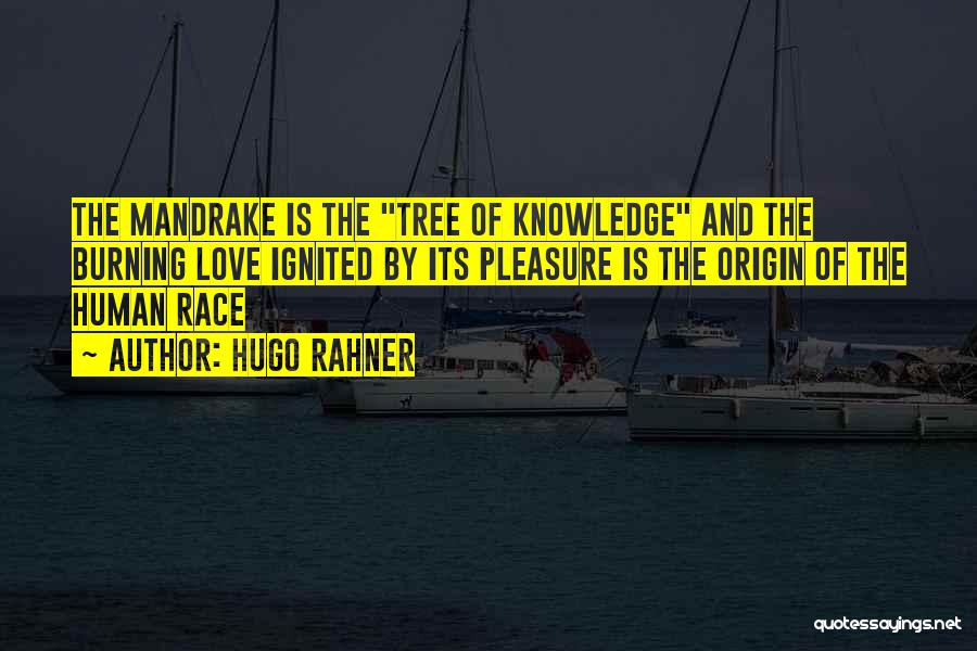 Hugo Rahner Quotes: The Mandrake Is The Tree Of Knowledge And The Burning Love Ignited By Its Pleasure Is The Origin Of The