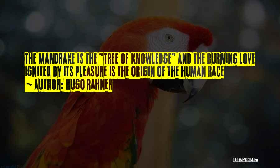 Hugo Rahner Quotes: The Mandrake Is The Tree Of Knowledge And The Burning Love Ignited By Its Pleasure Is The Origin Of The