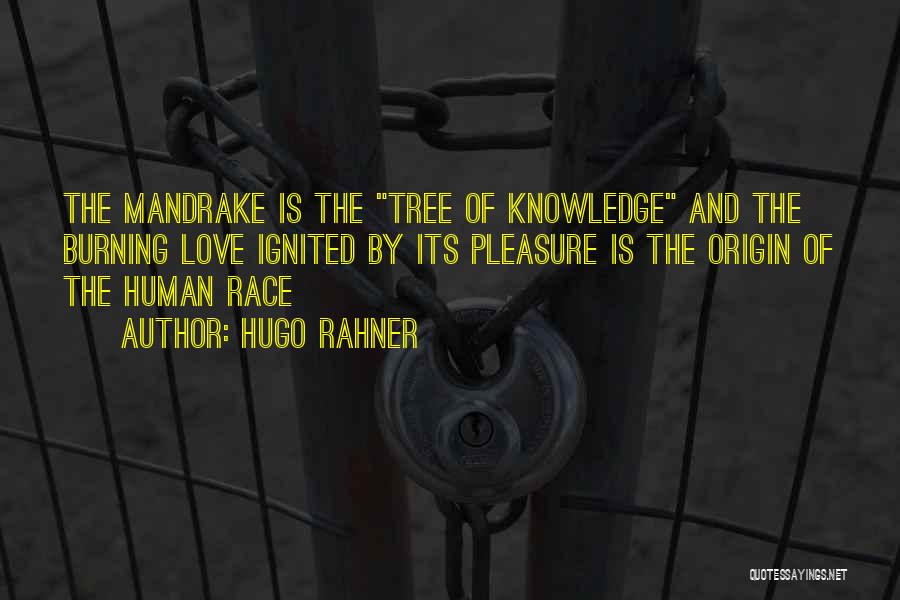 Hugo Rahner Quotes: The Mandrake Is The Tree Of Knowledge And The Burning Love Ignited By Its Pleasure Is The Origin Of The