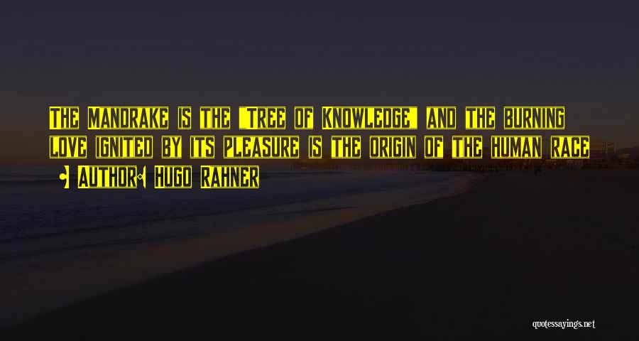 Hugo Rahner Quotes: The Mandrake Is The Tree Of Knowledge And The Burning Love Ignited By Its Pleasure Is The Origin Of The