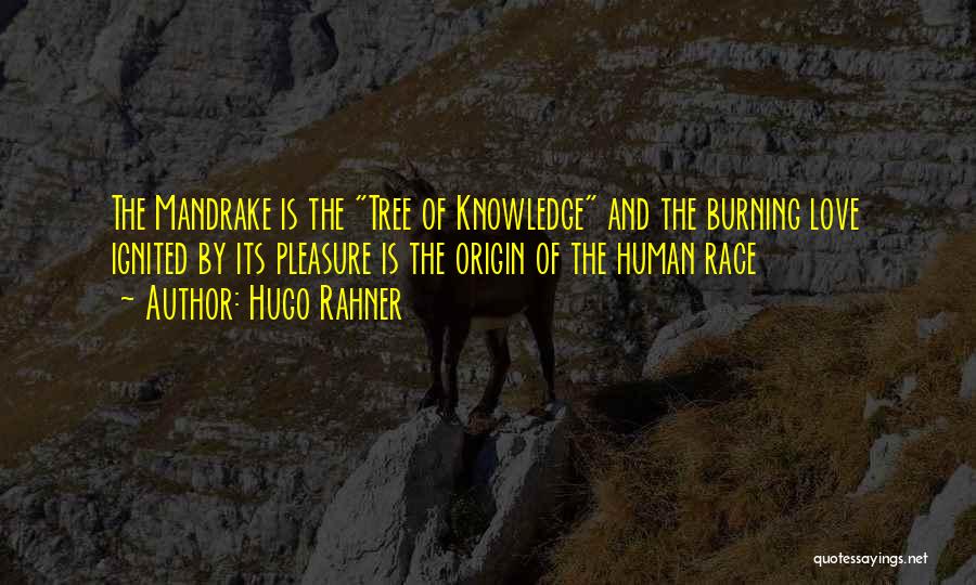Hugo Rahner Quotes: The Mandrake Is The Tree Of Knowledge And The Burning Love Ignited By Its Pleasure Is The Origin Of The