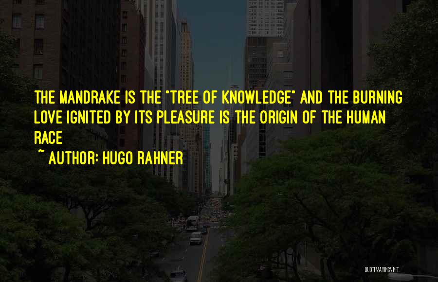 Hugo Rahner Quotes: The Mandrake Is The Tree Of Knowledge And The Burning Love Ignited By Its Pleasure Is The Origin Of The