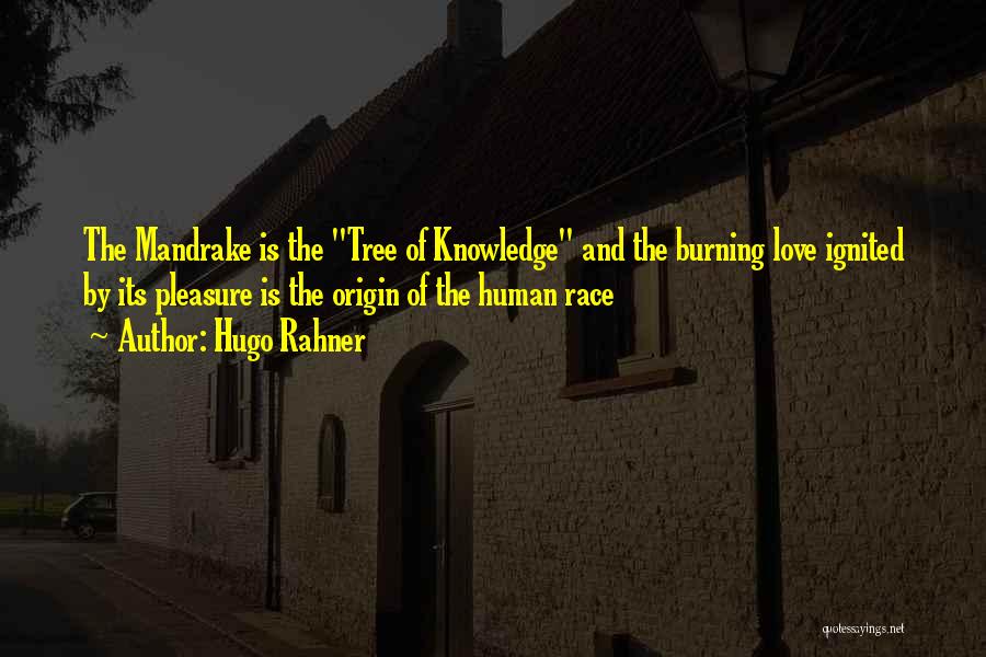 Hugo Rahner Quotes: The Mandrake Is The Tree Of Knowledge And The Burning Love Ignited By Its Pleasure Is The Origin Of The