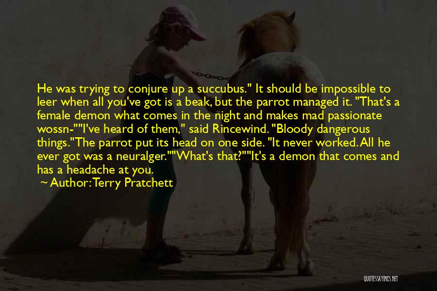 Terry Pratchett Quotes: He Was Trying To Conjure Up A Succubus. It Should Be Impossible To Leer When All You've Got Is A