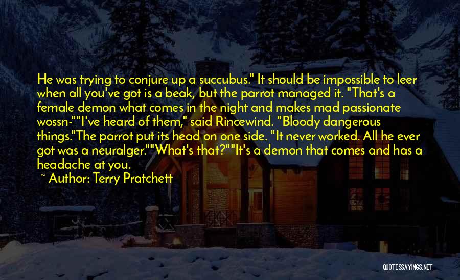 Terry Pratchett Quotes: He Was Trying To Conjure Up A Succubus. It Should Be Impossible To Leer When All You've Got Is A