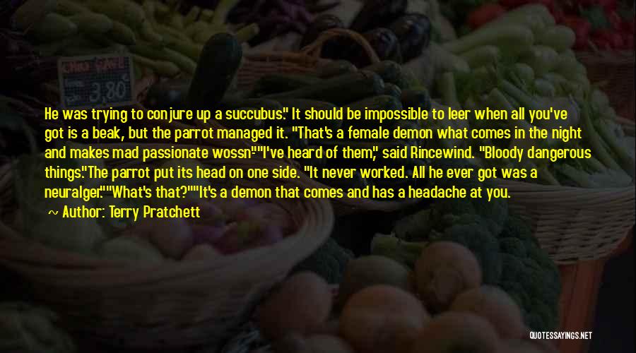 Terry Pratchett Quotes: He Was Trying To Conjure Up A Succubus. It Should Be Impossible To Leer When All You've Got Is A