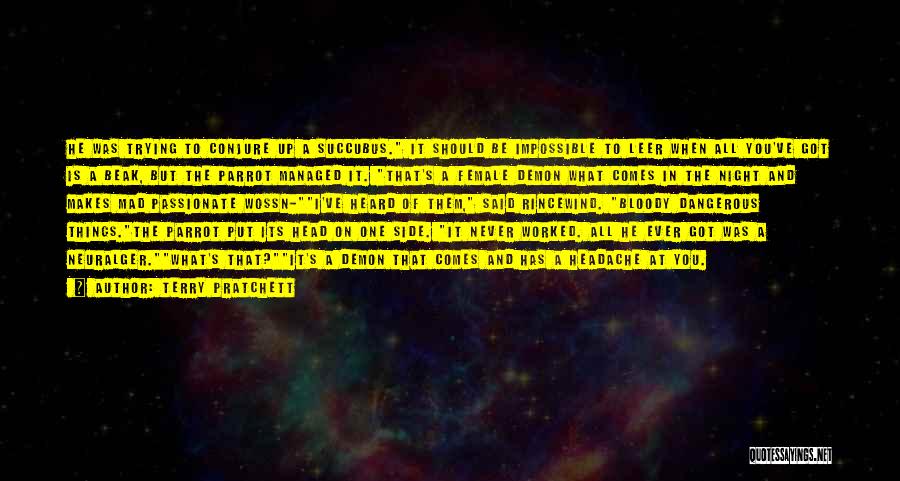 Terry Pratchett Quotes: He Was Trying To Conjure Up A Succubus. It Should Be Impossible To Leer When All You've Got Is A