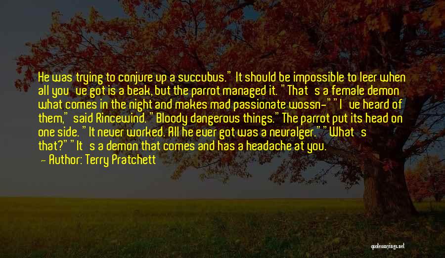 Terry Pratchett Quotes: He Was Trying To Conjure Up A Succubus. It Should Be Impossible To Leer When All You've Got Is A