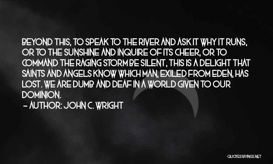 John C. Wright Quotes: Beyond This, To Speak To The River And Ask It Why It Runs, Or To The Sunshine And Inquire Of