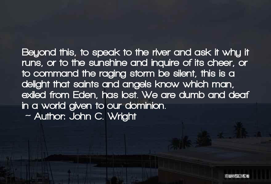 John C. Wright Quotes: Beyond This, To Speak To The River And Ask It Why It Runs, Or To The Sunshine And Inquire Of