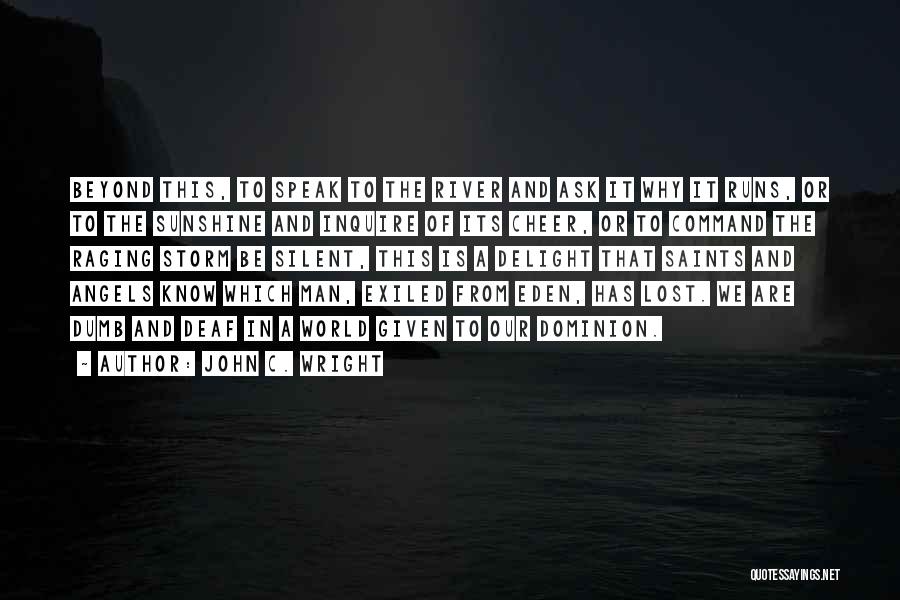 John C. Wright Quotes: Beyond This, To Speak To The River And Ask It Why It Runs, Or To The Sunshine And Inquire Of