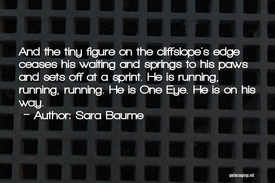 Sara Baume Quotes: And The Tiny Figure On The Cliffslope's Edge Ceases His Waiting And Springs To His Paws And Sets Off At