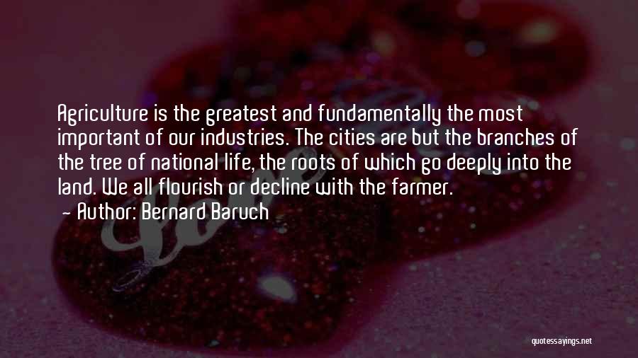 Bernard Baruch Quotes: Agriculture Is The Greatest And Fundamentally The Most Important Of Our Industries. The Cities Are But The Branches Of The