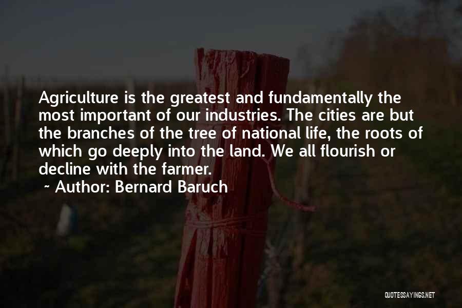 Bernard Baruch Quotes: Agriculture Is The Greatest And Fundamentally The Most Important Of Our Industries. The Cities Are But The Branches Of The