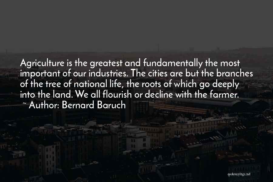 Bernard Baruch Quotes: Agriculture Is The Greatest And Fundamentally The Most Important Of Our Industries. The Cities Are But The Branches Of The