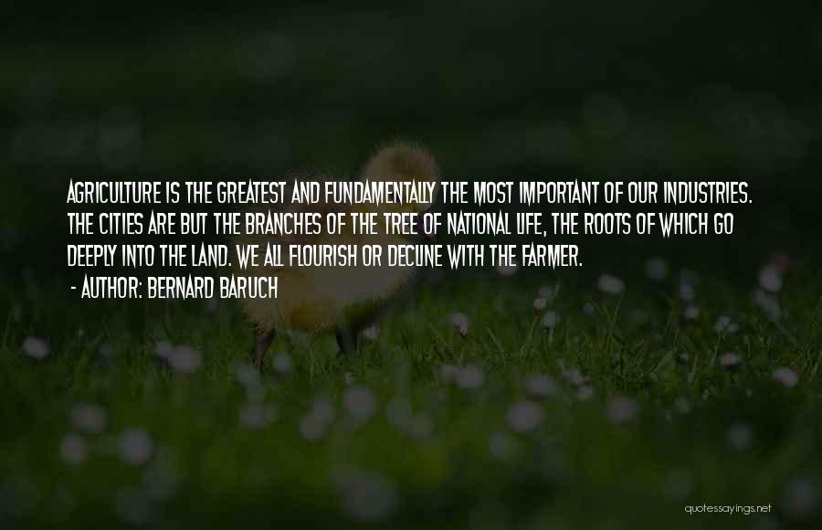 Bernard Baruch Quotes: Agriculture Is The Greatest And Fundamentally The Most Important Of Our Industries. The Cities Are But The Branches Of The