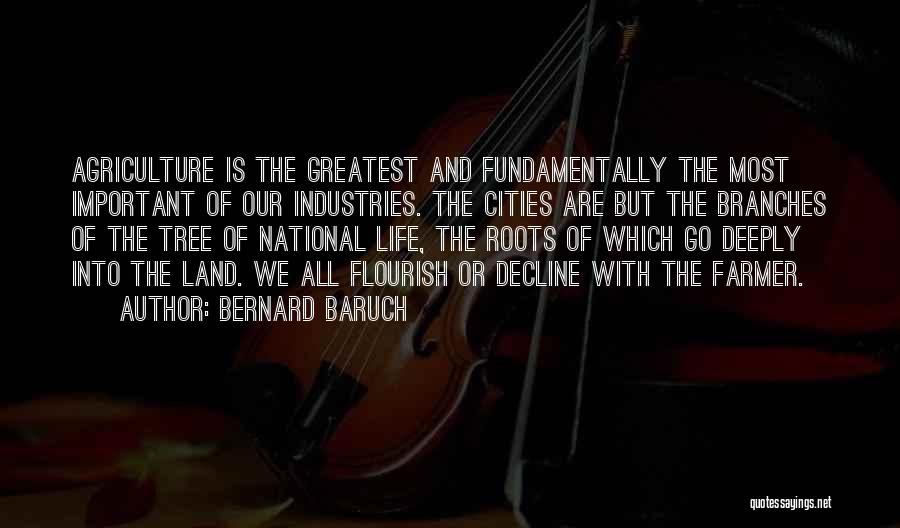 Bernard Baruch Quotes: Agriculture Is The Greatest And Fundamentally The Most Important Of Our Industries. The Cities Are But The Branches Of The