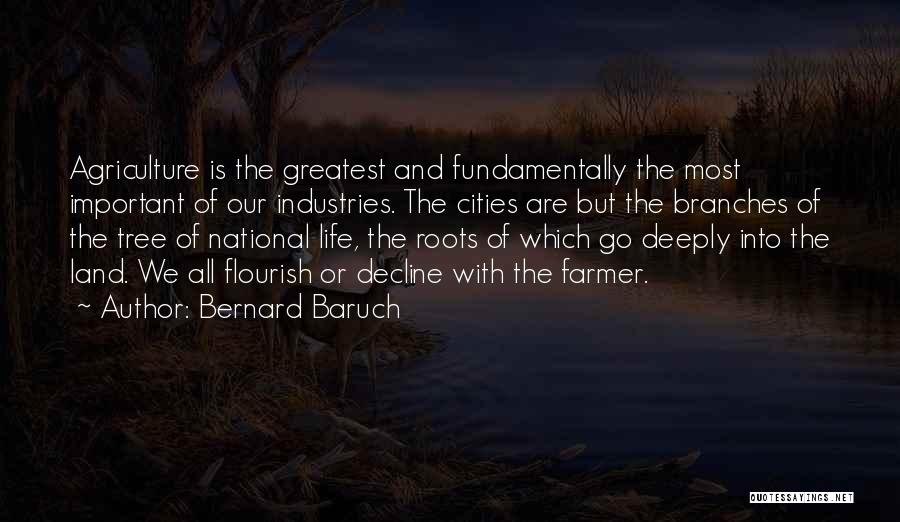 Bernard Baruch Quotes: Agriculture Is The Greatest And Fundamentally The Most Important Of Our Industries. The Cities Are But The Branches Of The