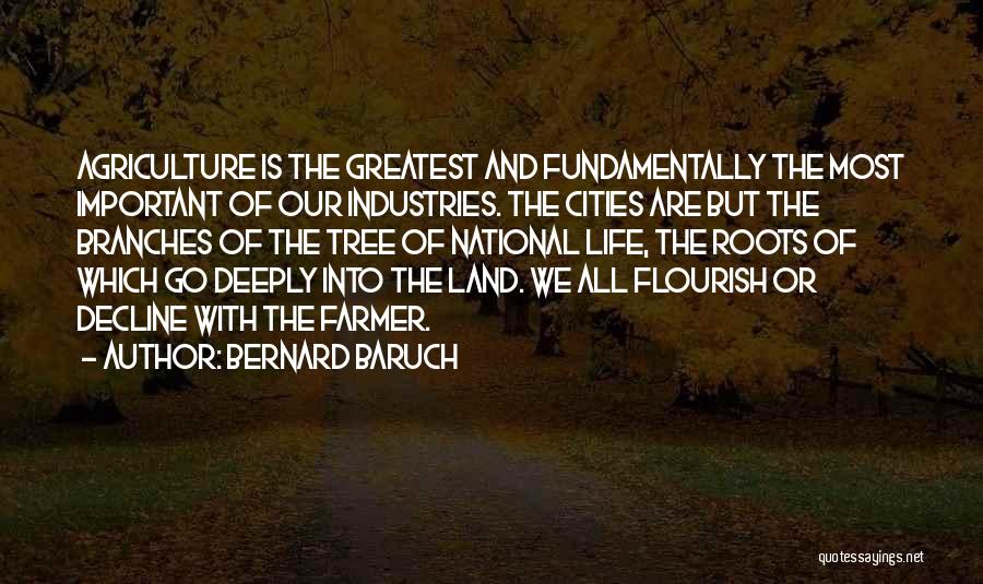 Bernard Baruch Quotes: Agriculture Is The Greatest And Fundamentally The Most Important Of Our Industries. The Cities Are But The Branches Of The