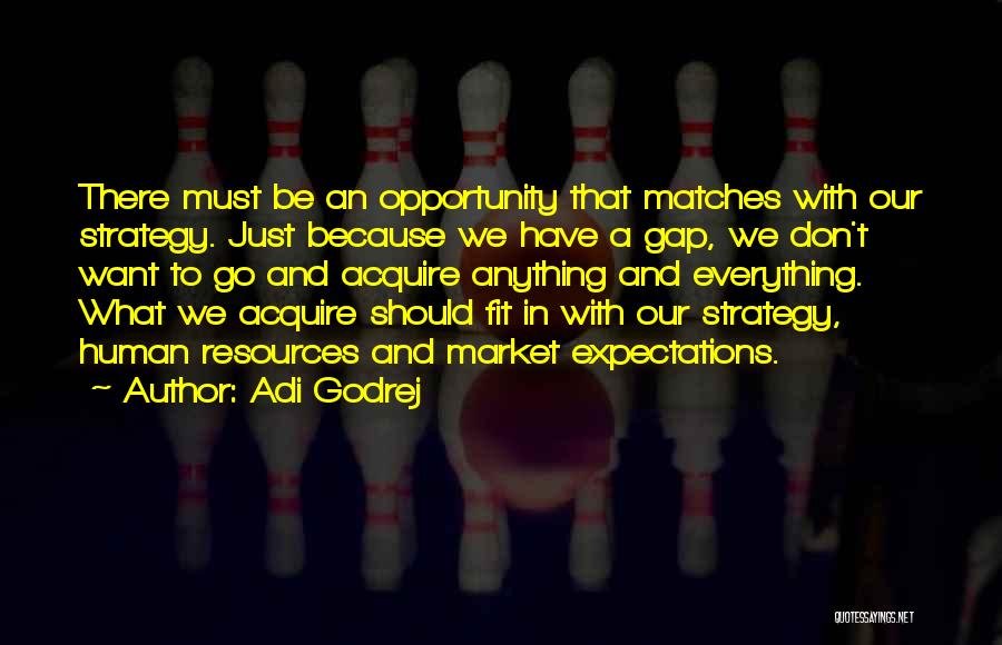 Adi Godrej Quotes: There Must Be An Opportunity That Matches With Our Strategy. Just Because We Have A Gap, We Don't Want To
